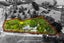 121 Pratts Road, Ramarama, Drury - Carousel 21
