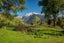 317 Poerua Valley Road, Harihari - Carousel 34