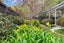 40 Wingate Street, Avondale, Auckland - Carousel 5
