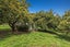 286 Paerata Ridge Road, Waiotahe, Opotiki - Carousel 38