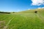 0 Littles Road, Dalefield, Queenstown - Carousel 5
