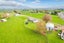 1/4798 Ohaupo Road, Ohaupo - Carousel 17
