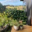 374 Mahurangi West Road, Mahurangi West, Warkworth - Carousel 20