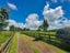 4385 Mountain Road, Ngaere, Stratford - Carousel 3