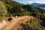 238B Port Underwood Road, Waikawa, Picton - Carousel 14