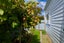 1235 Parnassus Road, Ferniehurst, Cheviot - Carousel 40