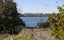 14 Whitecaps Place, Hihi - Carousel 20