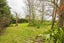7 Wallace Road, Koputaroa, Levin - Carousel 18