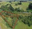 0 Pahiatua Mangahao Rd, Mangamutu, Pahiatua - Carousel 11