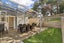 62 Hill Street, Onehunga, Auckland - Carousel 10