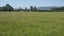 0 Murphys Line, South Featherston, Featherston - Carousel 9