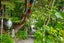 391 Titirangi Road, Titirangi, Auckland - Carousel 23