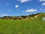 138 Walford Road, Aongatete, Katikati - Carousel 27