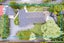 193A Ilam Road, Ilam, Christchurch - Carousel 27