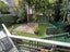 37C Temple Street, Meadowbank, Auckland - Carousel 11