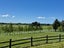 902 Fairview Road, Claremont, Timaru - Carousel 37