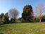 81 Maudes Road, Deborah - Carousel 25