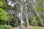 128 Settlement Road, Kaiwaka, Kaiwaka - Carousel 5