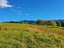 1344 State Highway 12, Oue, Kaikohe - Carousel 4