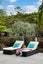 93 Aberley Road, Schnapper Rock, Auckland - Carousel 20