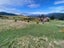 121 Silverstream Valley Road, North Taieri, Mosgiel - Carousel 18
