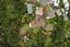 53 Thatcher Street, Mission Bay, Auckland - Carousel 19