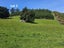 38 Taieri Beach Road, TAIERI BEACH, TAIERI MOUTH - Carousel 3