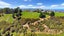 270 Chain Hills Road, Chain Hills, Dunedin - Carousel 42