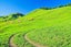 0 Lake Road, Raglan, Taupiri - Carousel 9