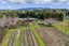 138 Walford Road, Aongatete, Katikati - Carousel 10
