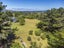 37 Hadfield Road, Peka Peka - Carousel 44