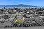 30 Golf Road, Paraparaumu Beach, Paraparaumu - Carousel 38
