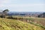 17 Chatfield Lane, AOKAUTERE - Carousel 10