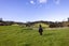 719 Waikare Road, Karetu, Kawakawa - Carousel 40