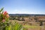 93 Lloyd Road, Albany - Carousel 7