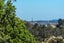 208 Albany Heights Road, Albany Heights, Albany - Carousel 5