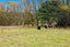 1180 Oneriri Road, Kaiwaka - Carousel 27