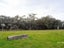 0 Kahutara Rd - Carousel 5