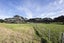 1293 Old North Rd, Waimauku, Helensville - Carousel 22