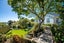 7 Ngatitama Street, Nelson South, Nelson - Carousel 3