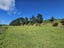 9 Buckley Road, Shannon, Palmerston North - Carousel 8