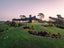 186 Glenmore Road, Albany - Carousel 38