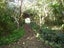 267 Hautere Cross Road, Hautere - Carousel 17