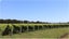 23 Pinot Crescent, Ohau, Ōhau - Carousel 9