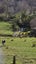 2 Long Road, Waitakere, Auckland - Carousel 4