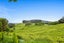 433 Pah Hill Road, Wharehine, Wellsford - Carousel 28