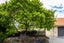 348 Nayland Road, Stoke, Nelson - Carousel 24