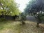 113 Nayland Road, Stoke, Nelson - Carousel 3