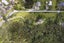 24 Quail Drive, Albany Heights, Auckland - Carousel 3