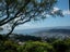 3A Highbury Avenue, Highbury, Palmerston North - Carousel 1